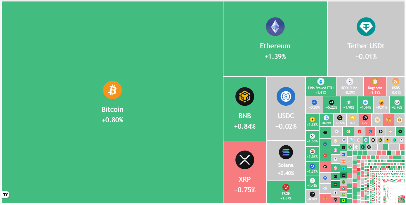 019cdd55-5623-7e5a-b21d-f98b6f5732d5-1