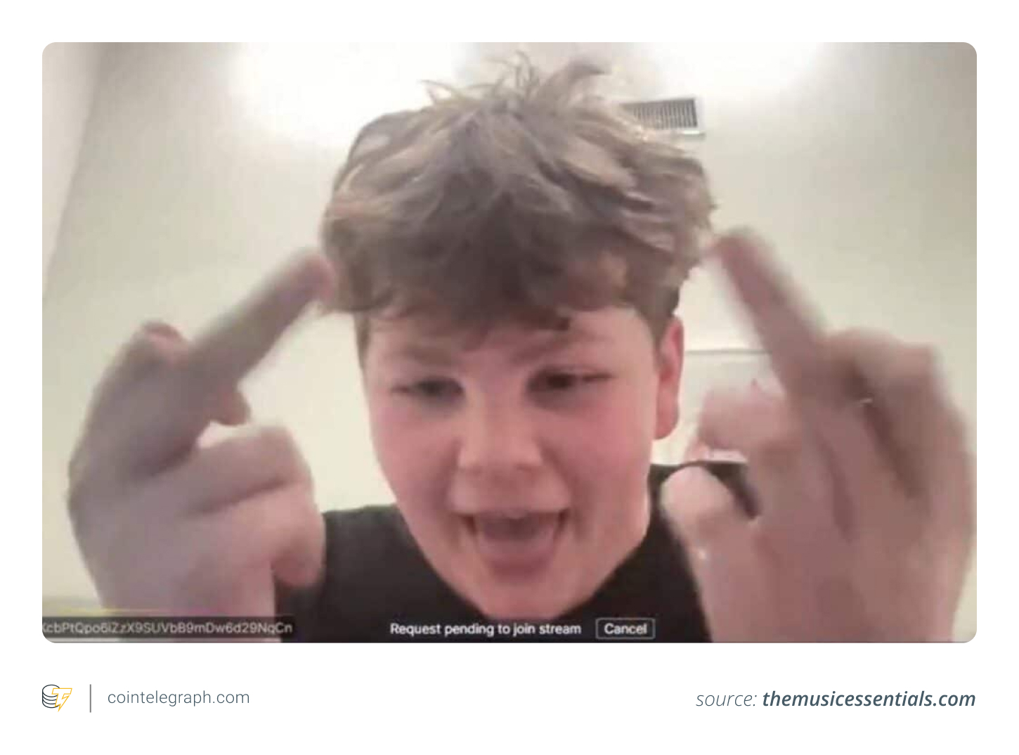 Quant Kid